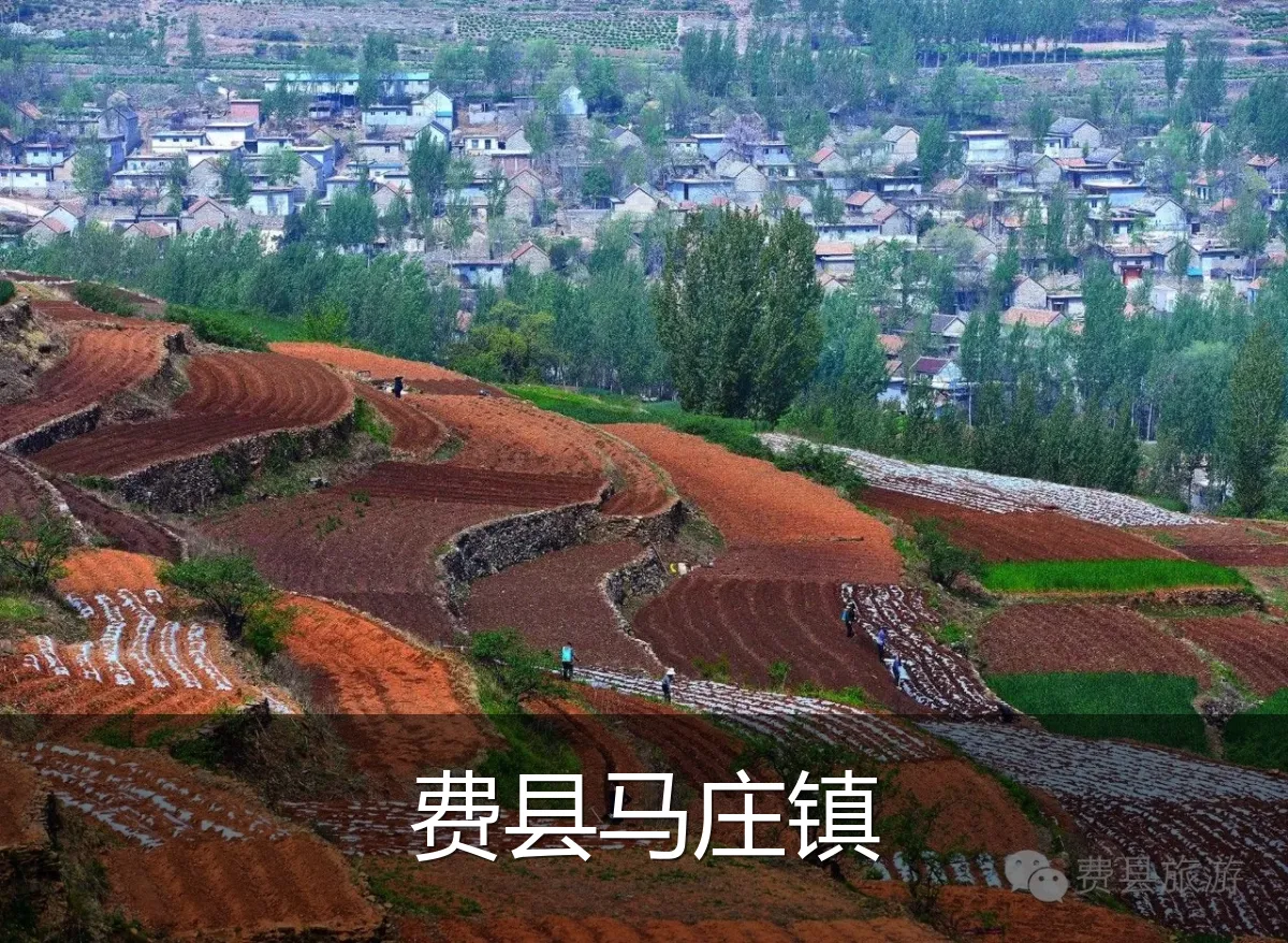 费县马庄镇
