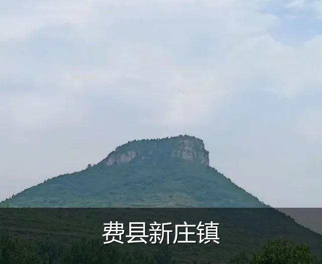 费县新庄镇